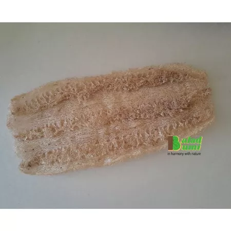 Gambar Loofah Spon Alami 1 pcs