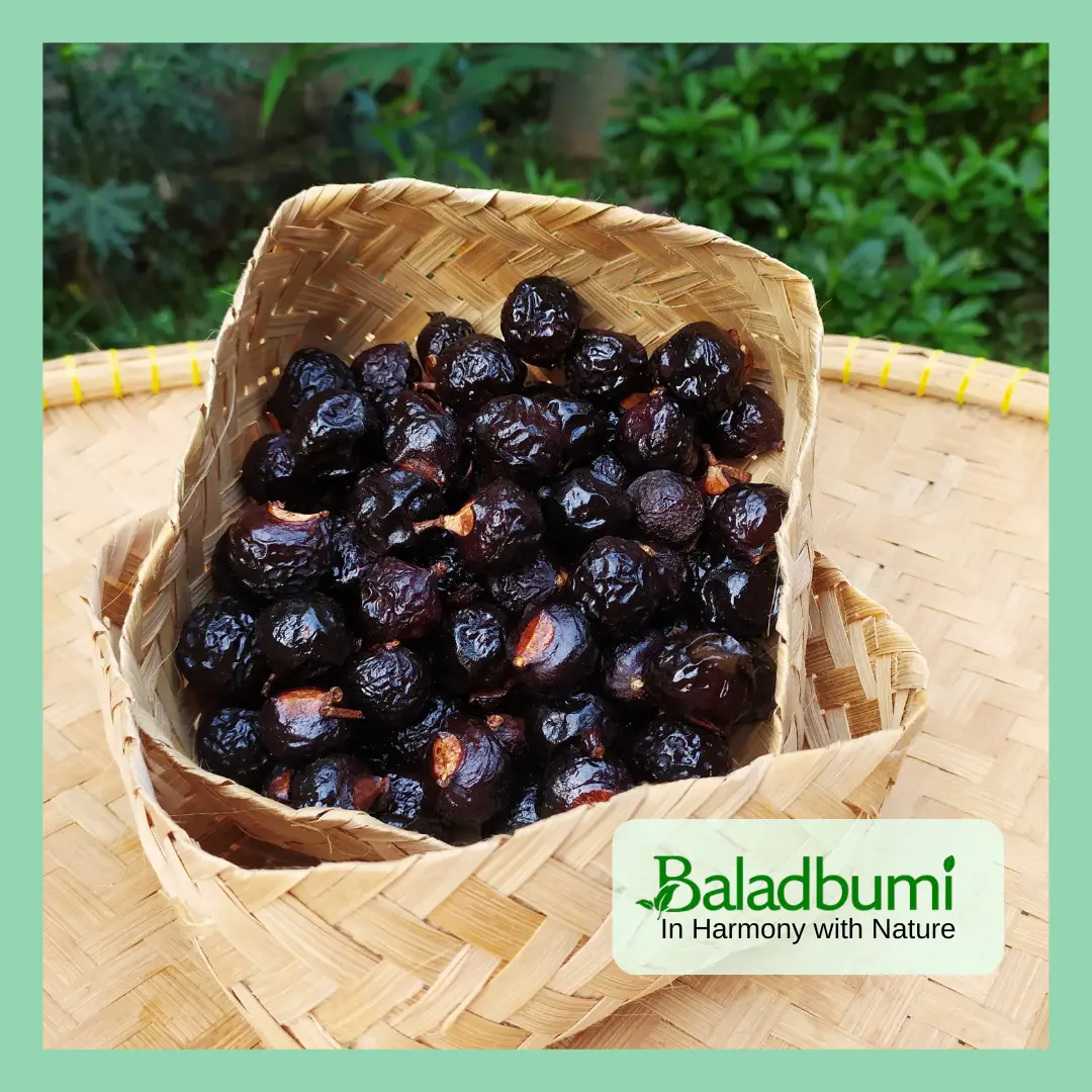 Gambar Buah Lerak 500 gram